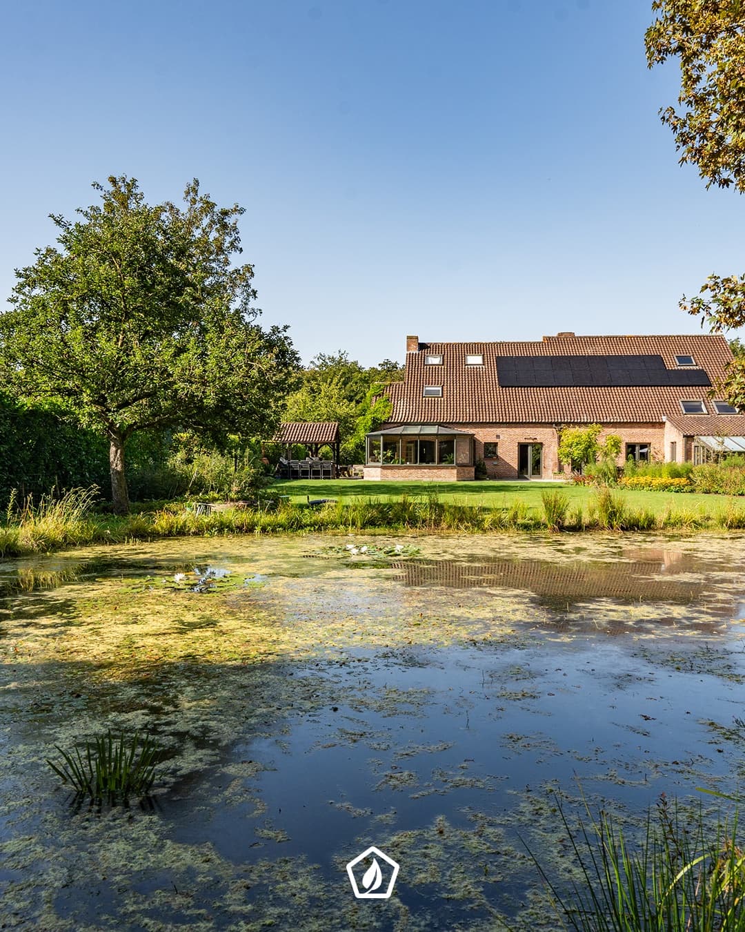 Complete tuinaanleg: van gezonde basis tot groene oase