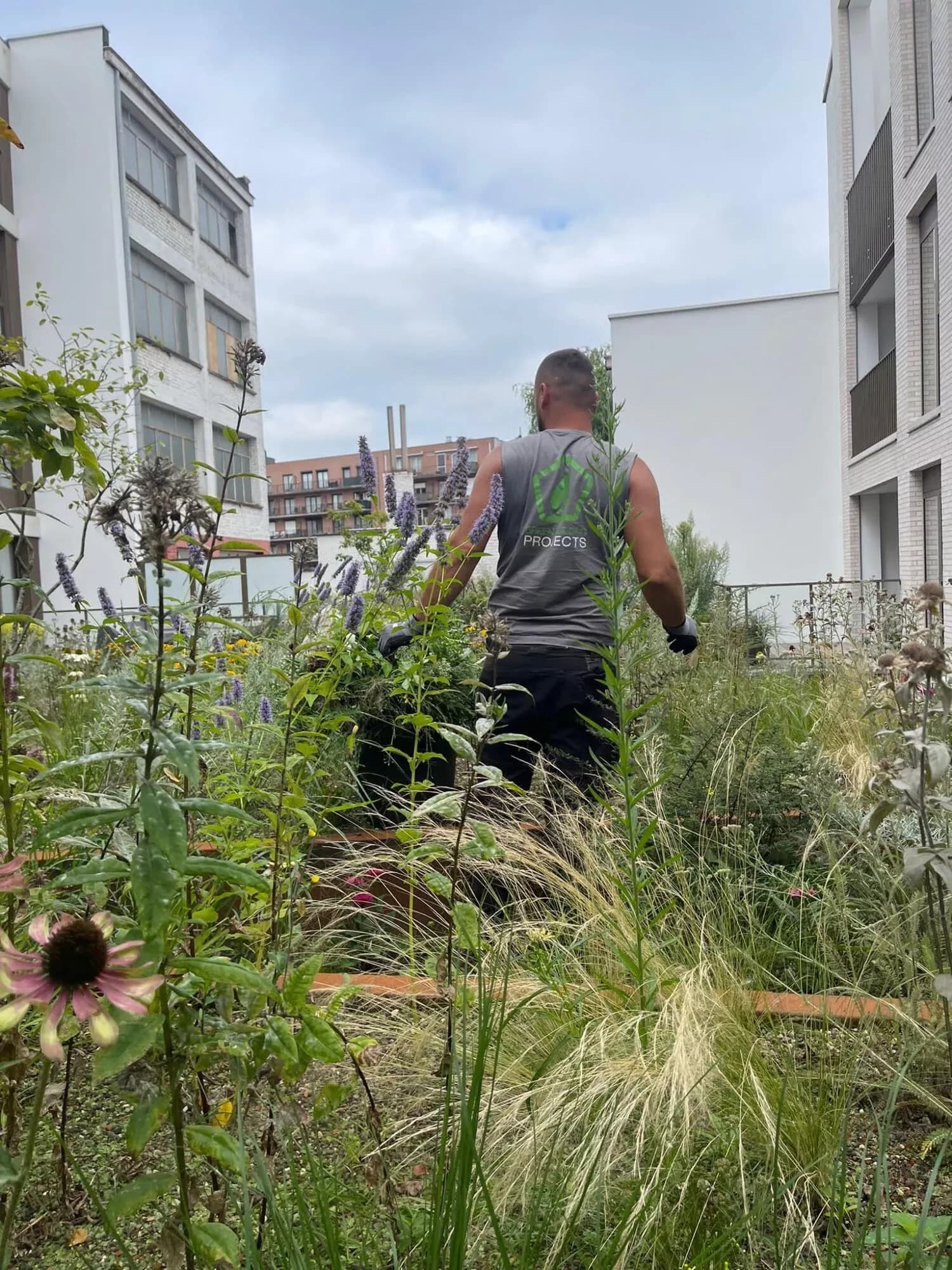 Onderhoud in Gent