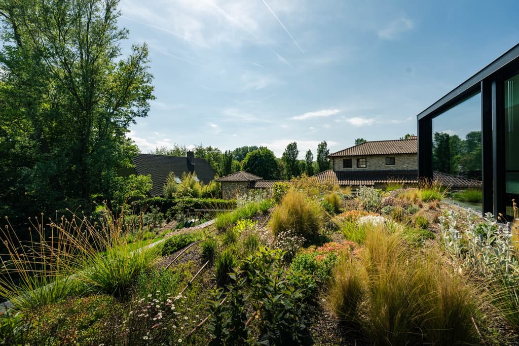 Biodiverse tuin bij een architectenwoning