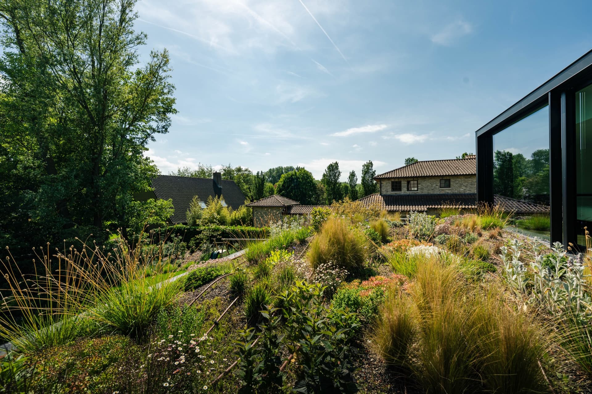 Biodiverse tuin bij een architectenwoning