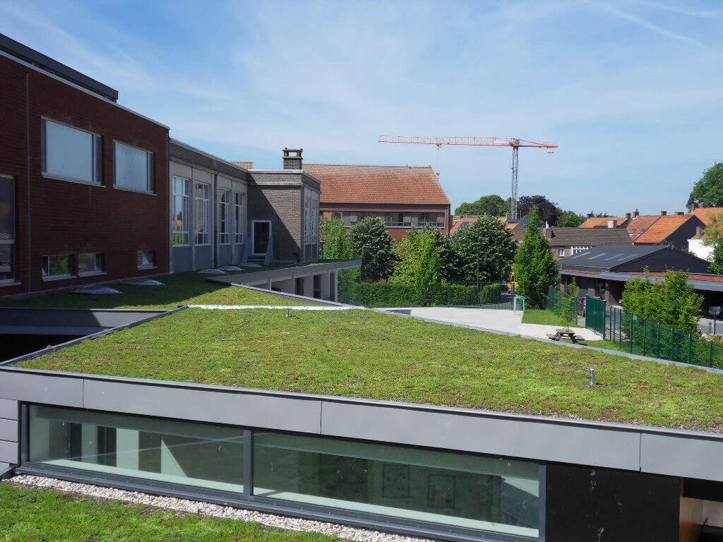 De Zonnebloem te Beernem