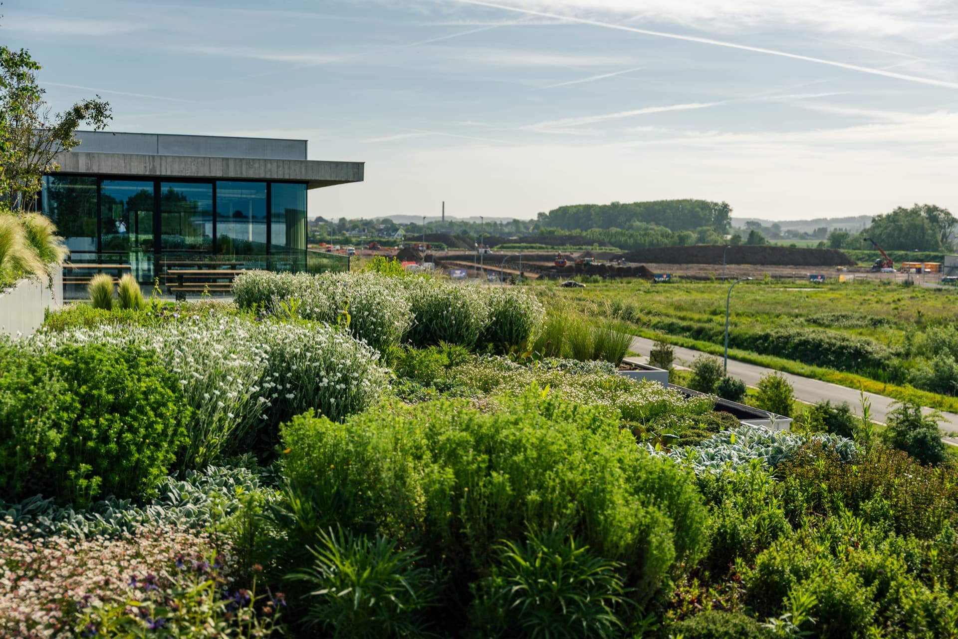 Daktuin op een gebouw aangelegd door Green Building Projects