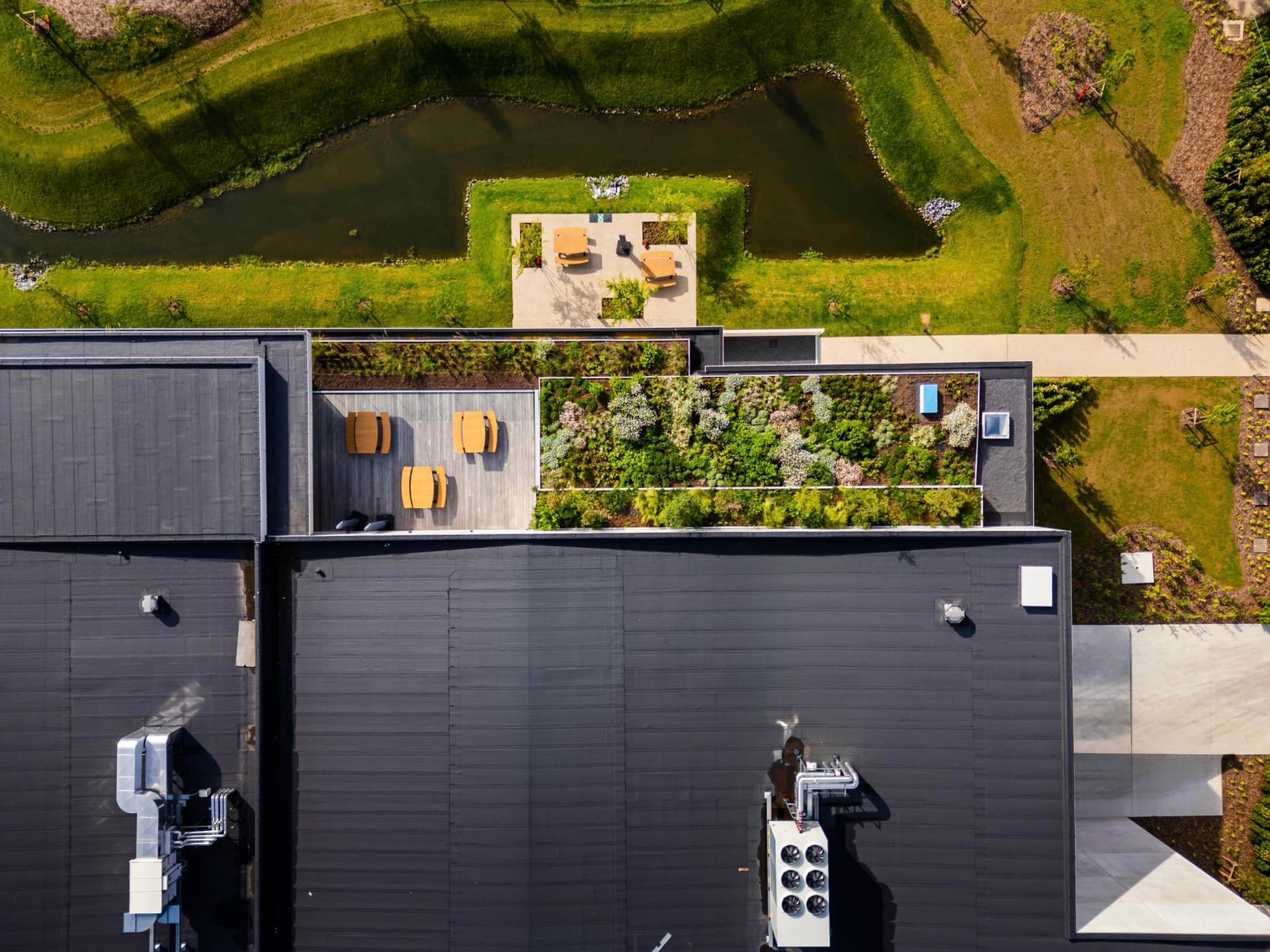 Extensief vs intensief groendak: wat is het verschil?
